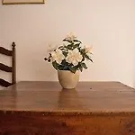 호텔 Bristol